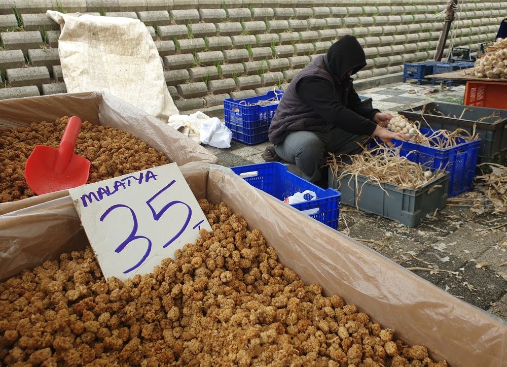 Фотография автора Fikriye Er