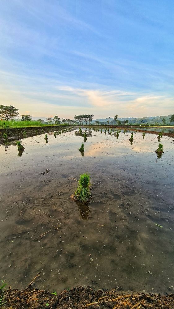 Photograph by Astried Marini