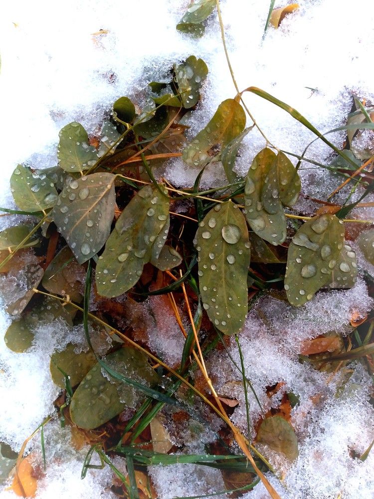 Photograph by Юлия Жулидова