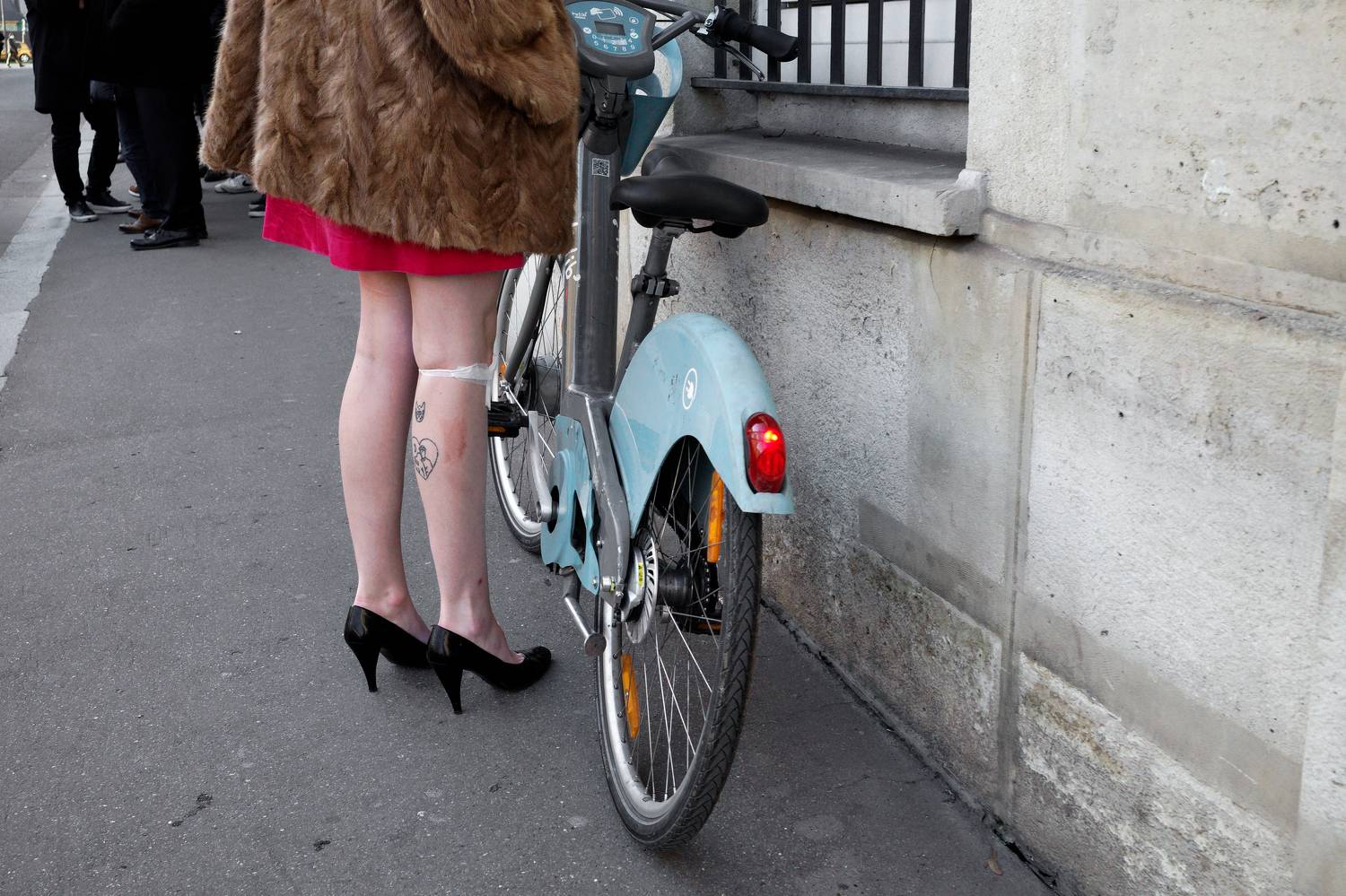 Photo #7278692