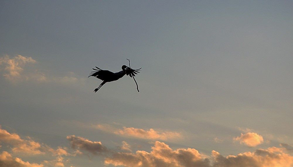 Photograph by Зинаида Фадеева