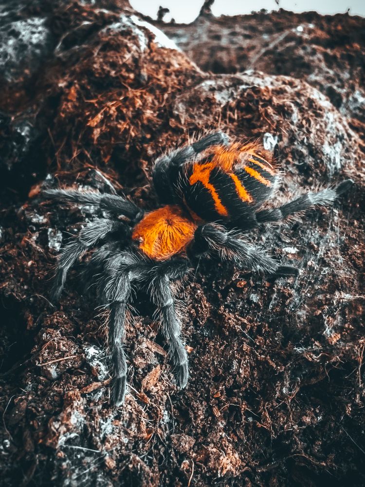 Photograph by Дмитрий Соляников