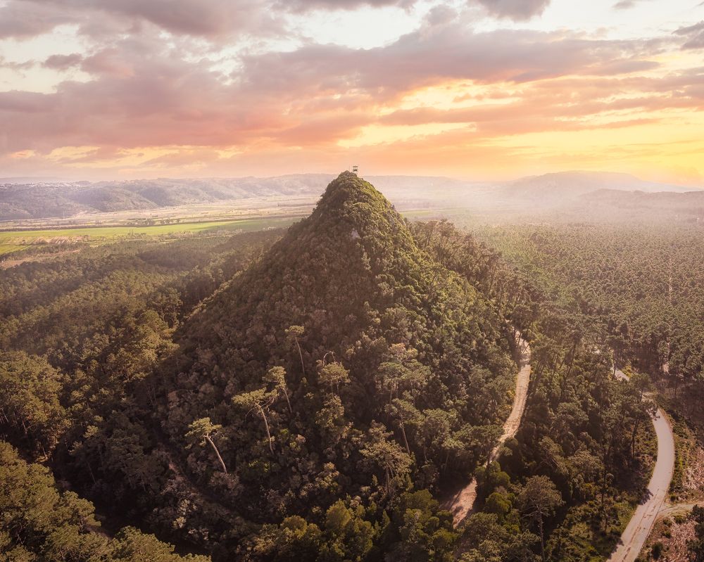 Photograph by Rui Santos