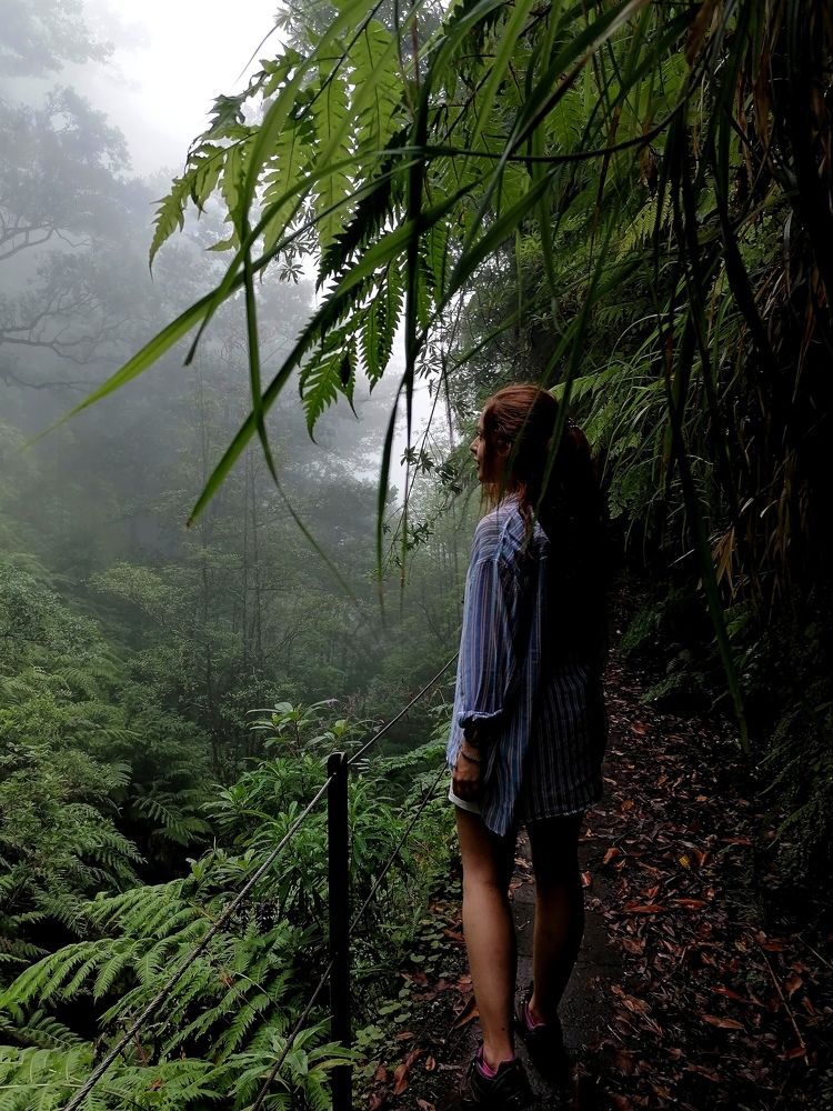 Photo #7278754