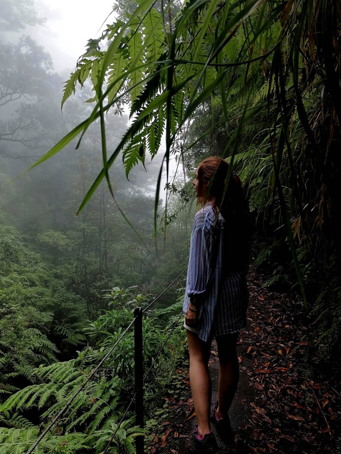 Photo #7278754