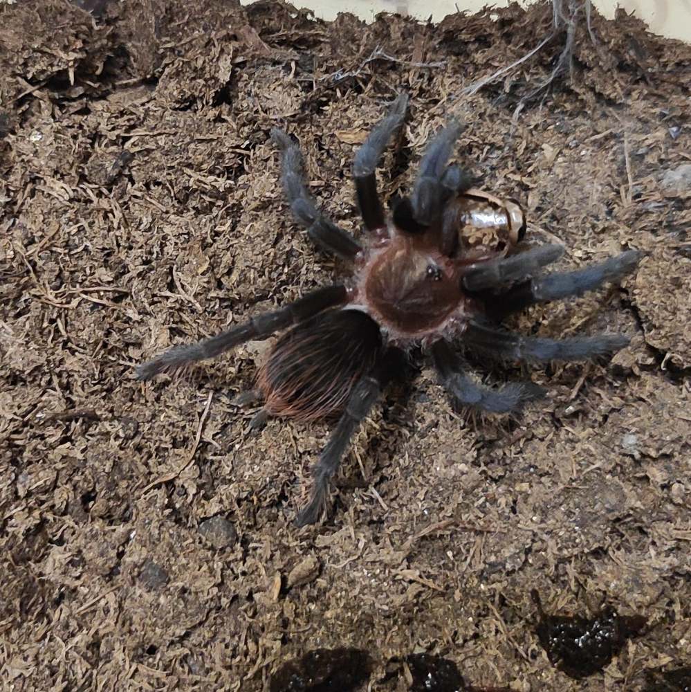 Photograph by Elvira Magsumova