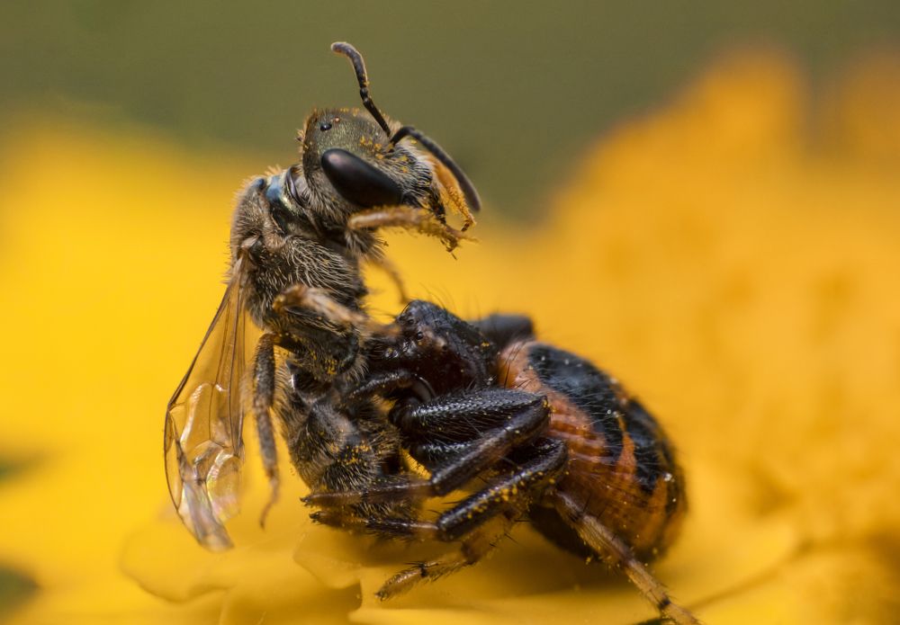 Photograph by Rui Santos