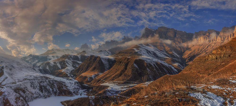 Горный бархат