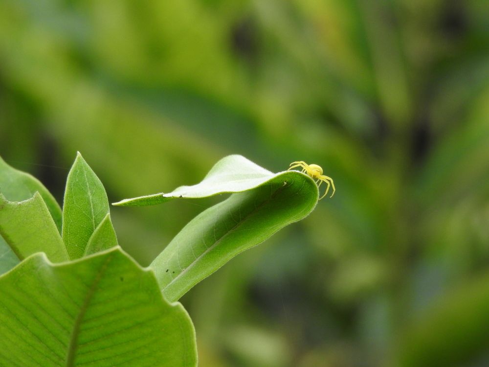 Photograph by Josée Beauchemin