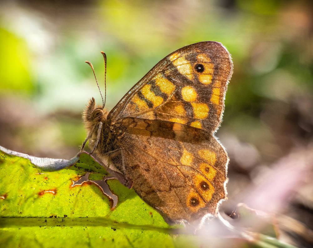 Photograph by Rui Santos