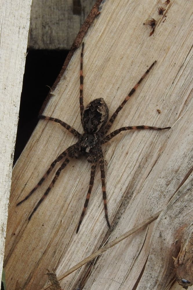 Photograph by Josée Beauchemin