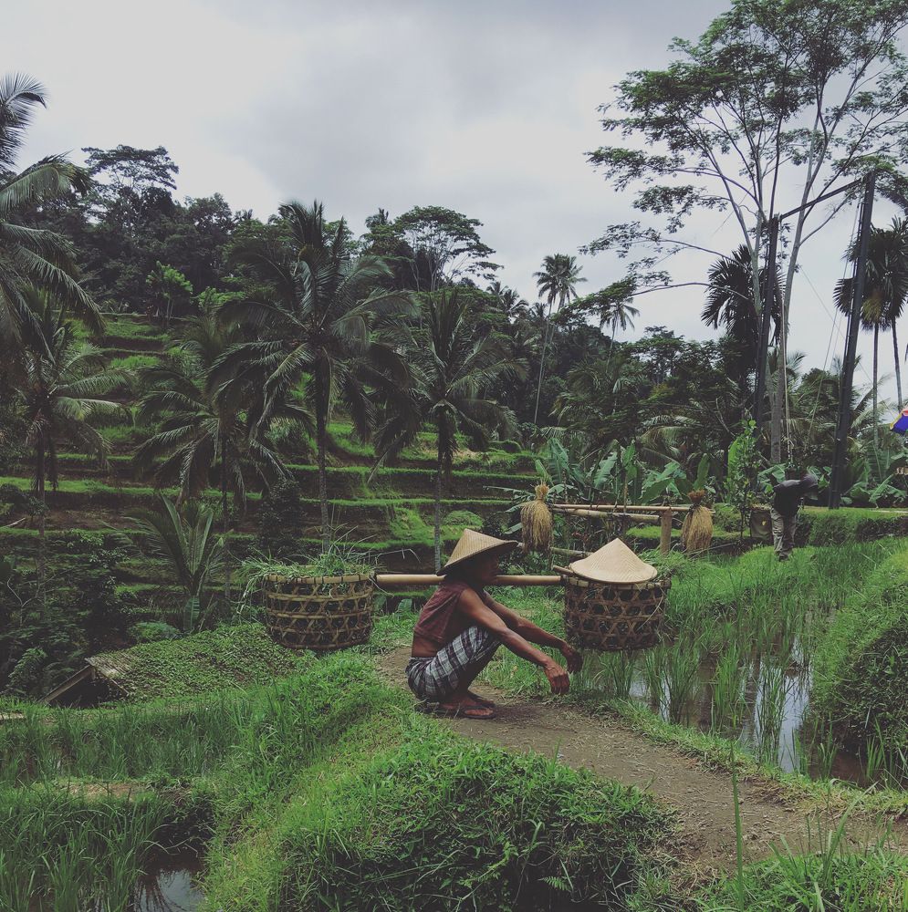 Балийские зарисовки