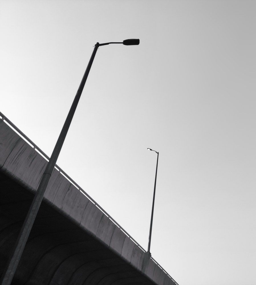 Photograph by Mohammad reza Falah