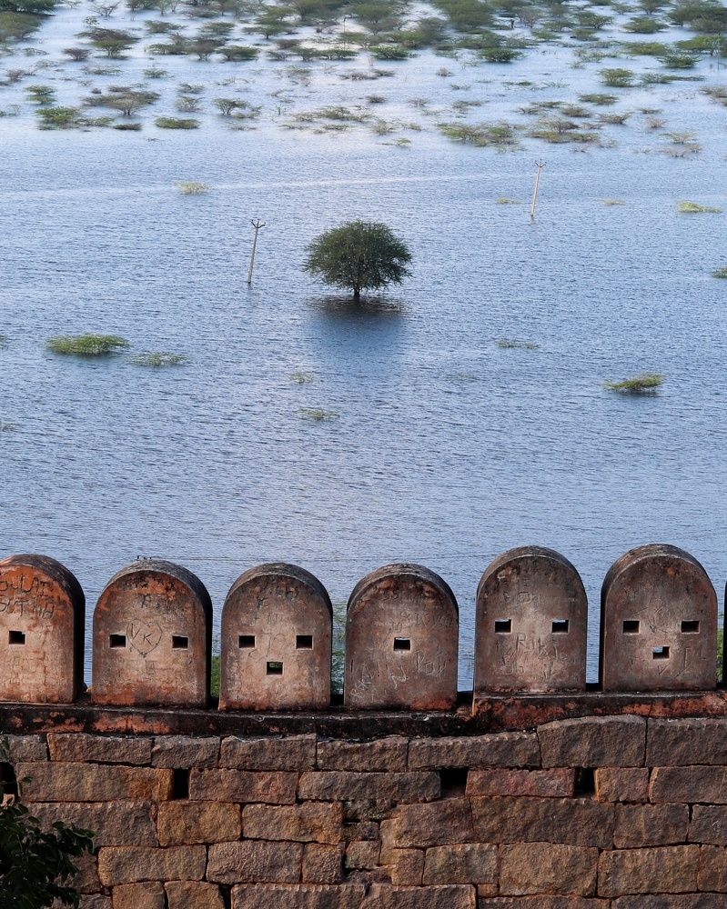 Photograph by VIGNESHWAR J