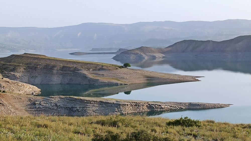 Photograph by Фурсова Людмила