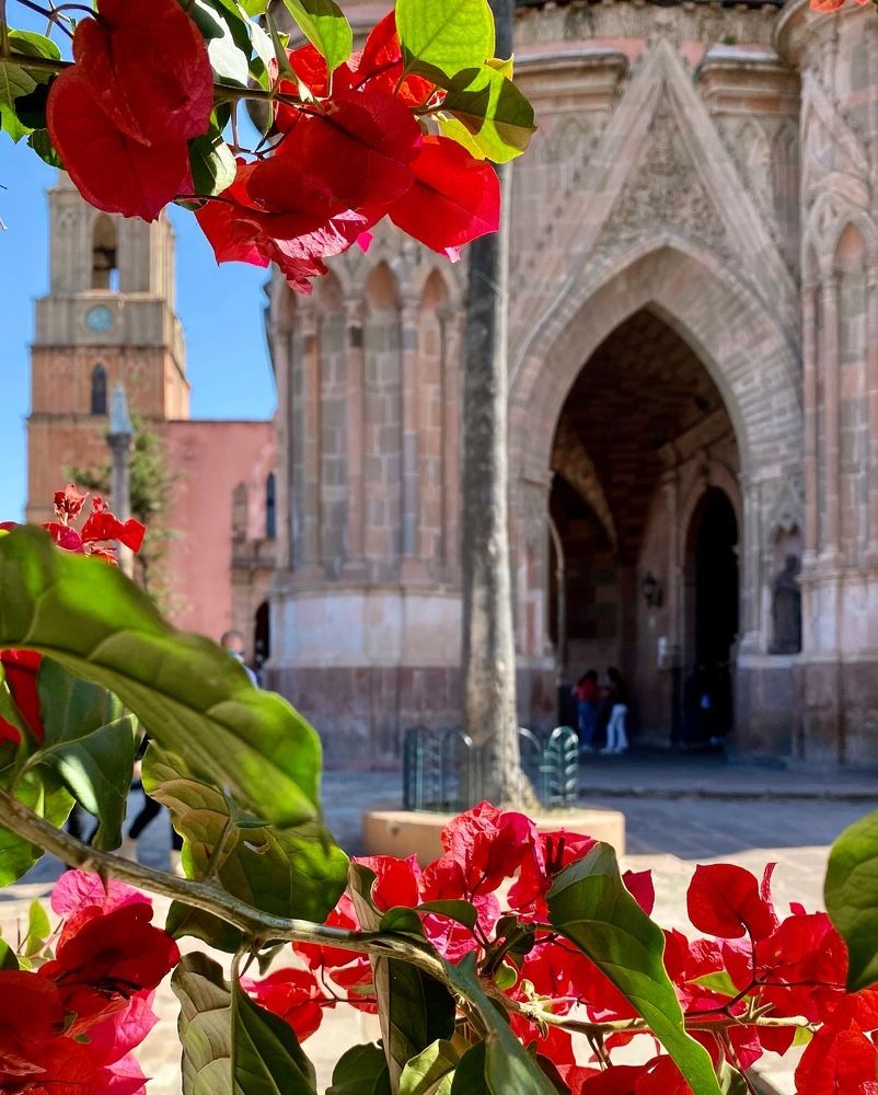 Photograph by Oxana Telupilova