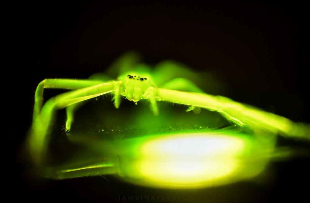 Photograph by Vinayak Sharannavar