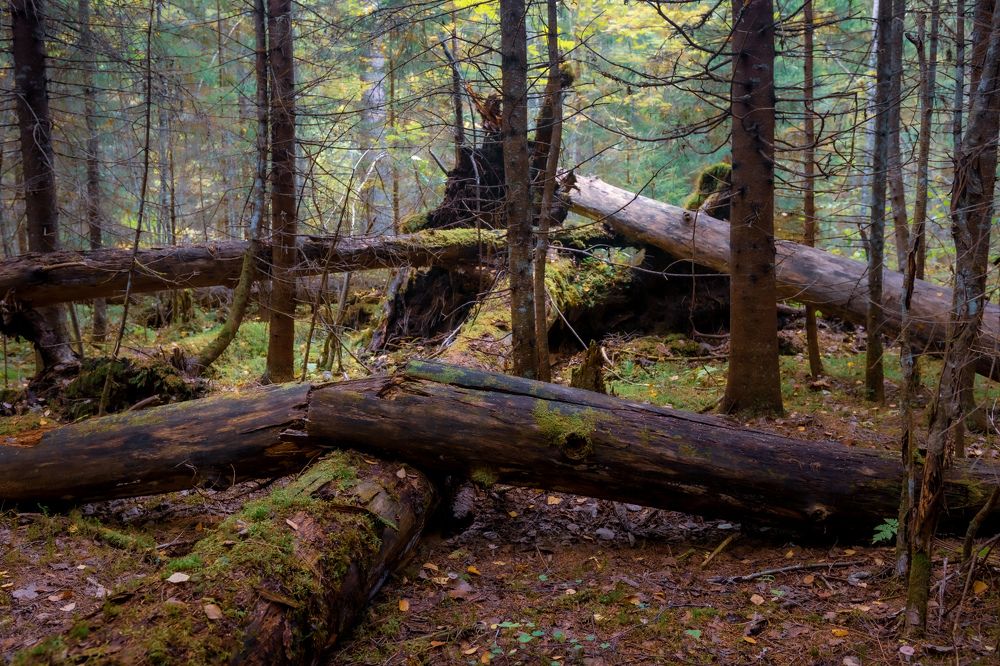 Photograph by Анатолий Павлович