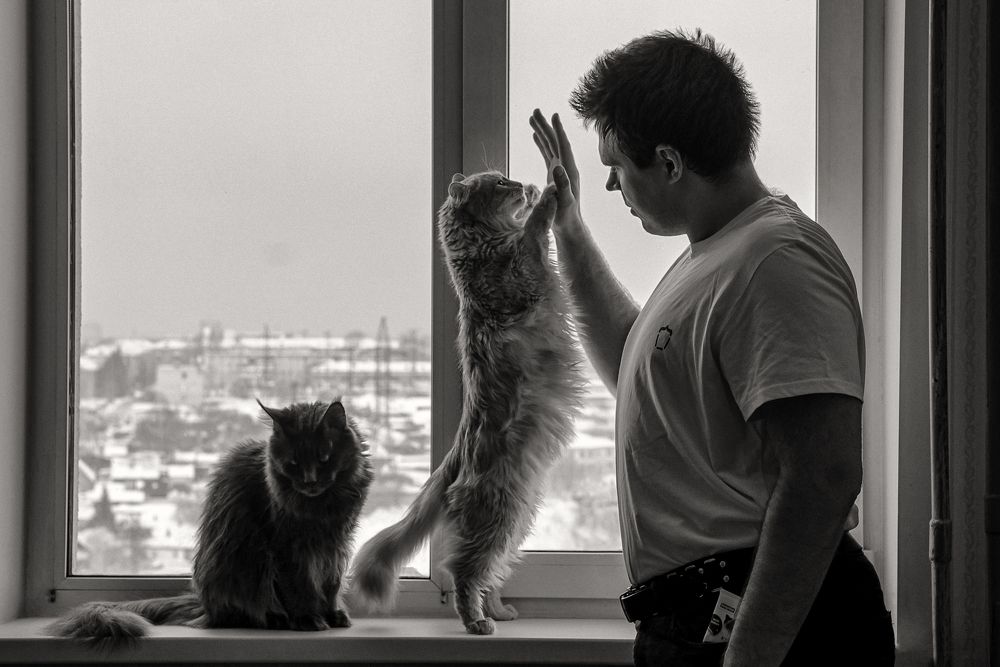 Photograph by Захарова Татьяна