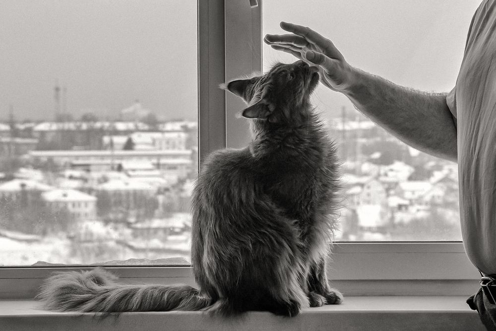 Photograph by Захарова Татьяна