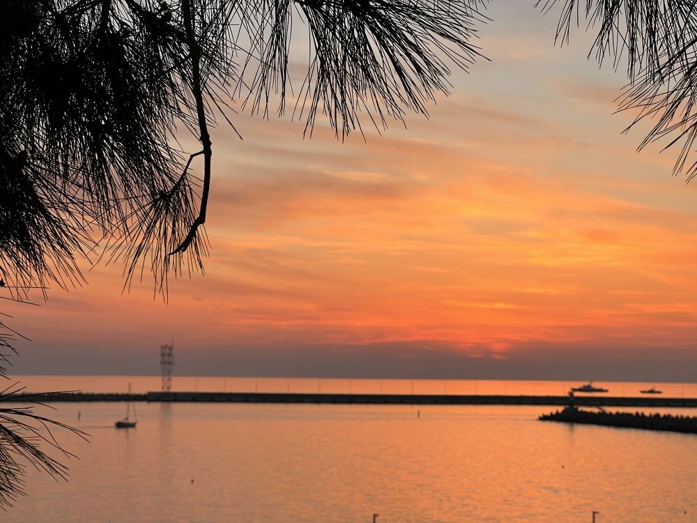 Photograph by Елена Мизина