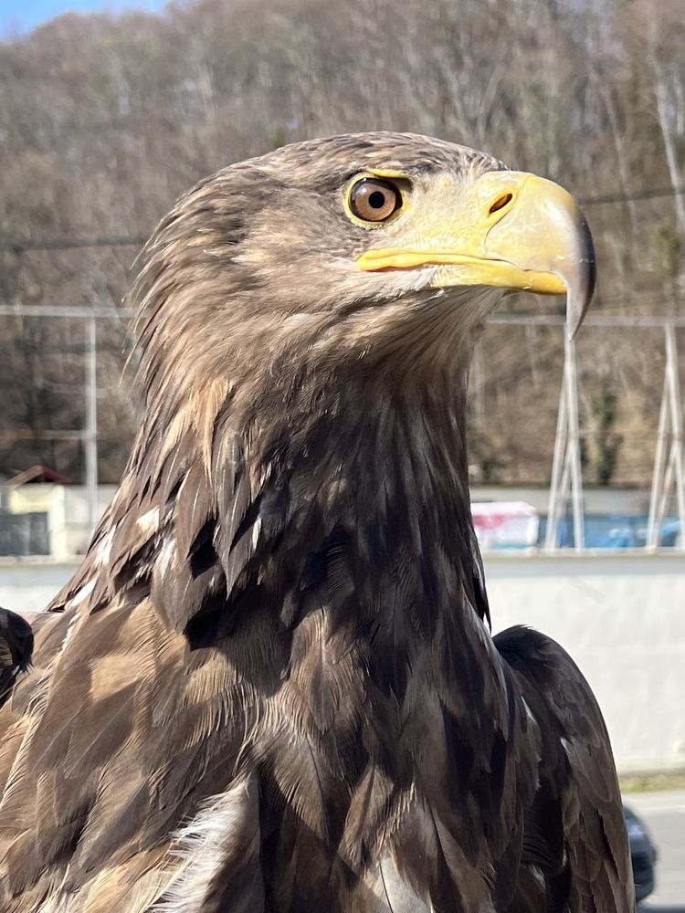 Photograph by Елена Мизина