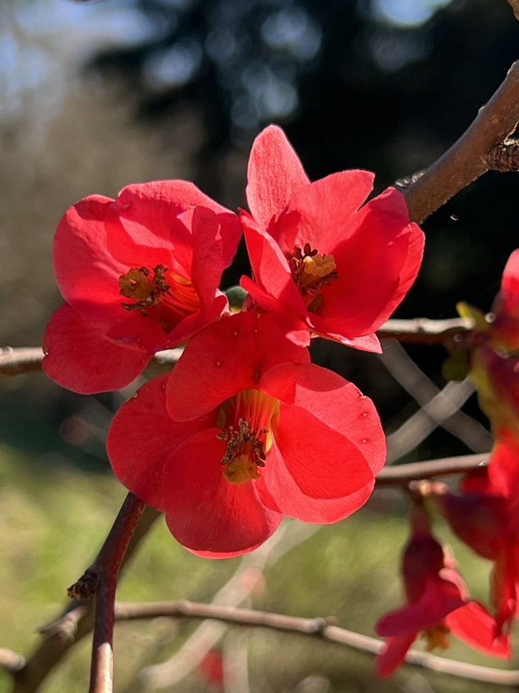 Photograph by Елена Мизина