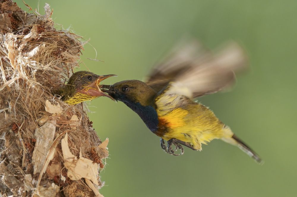 Photograph by Ha Phi Thi Thu