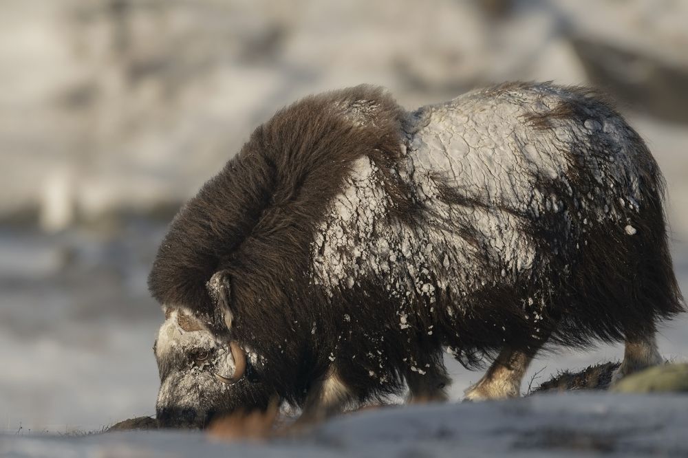 Photograph by Ernestas Balcikonis