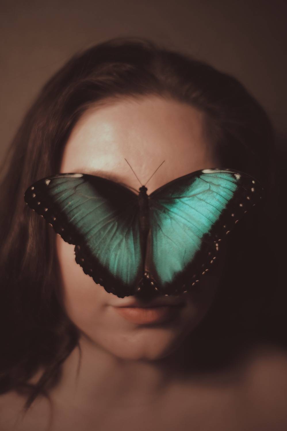 Photo #7279309
