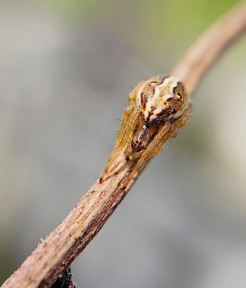 Фотография автора Irshad Alam