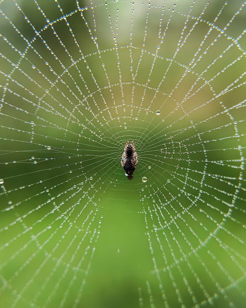 Фотография автора Irshad Alam