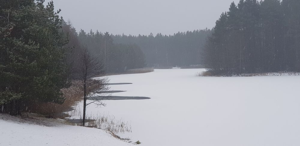 Photograph by Ivan Karavka