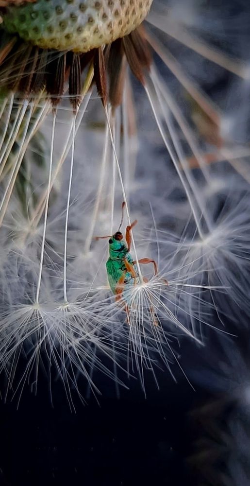 Photograph by Дина Чаица