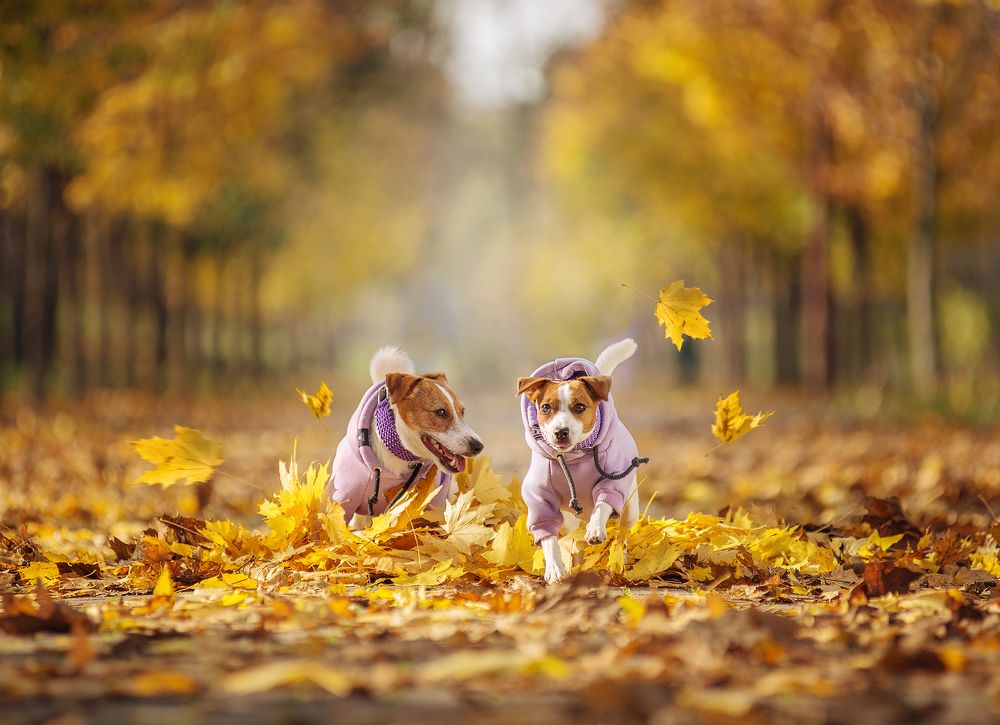 Photograph by Григорьева Юлия