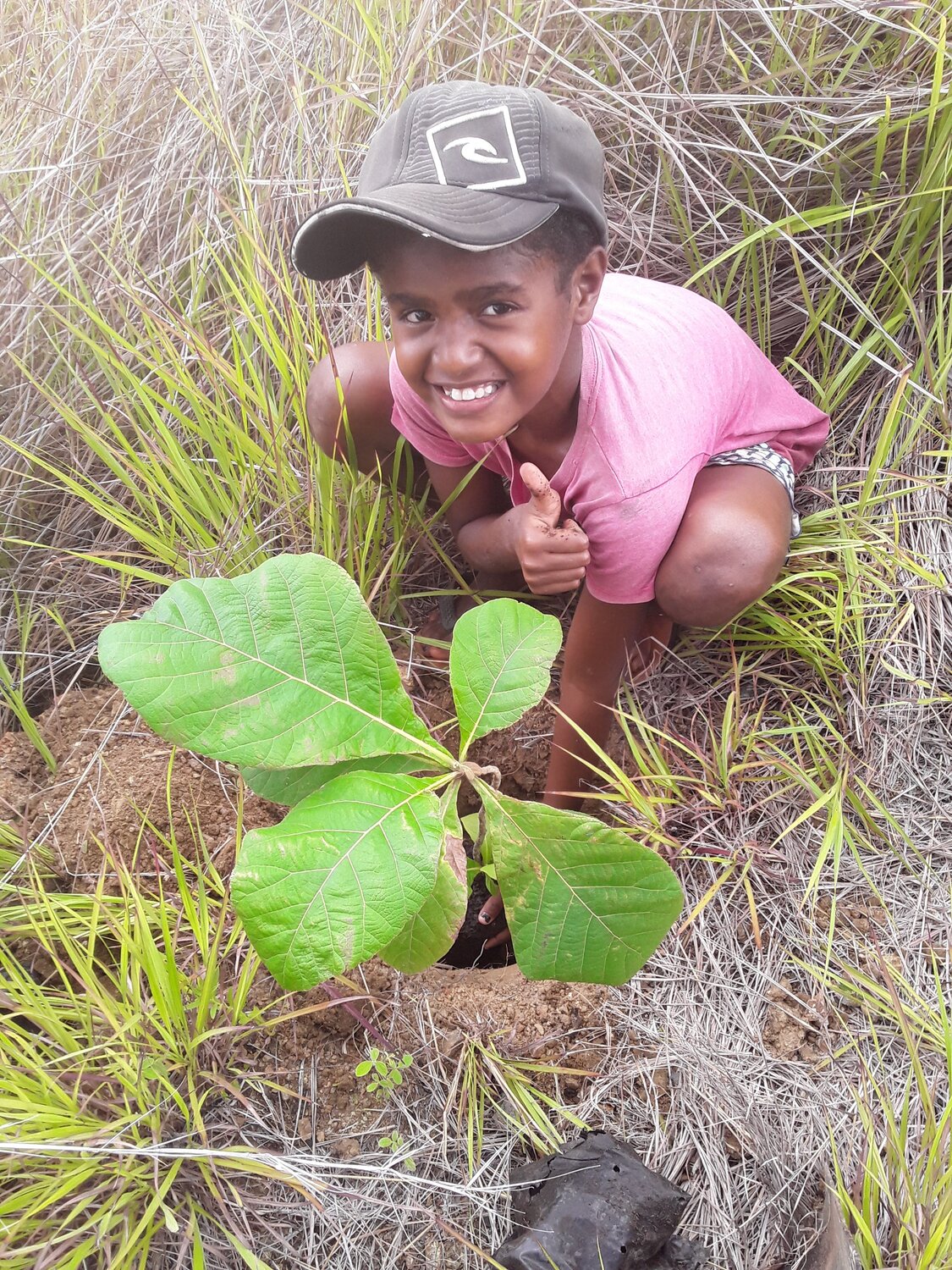 Tree planting