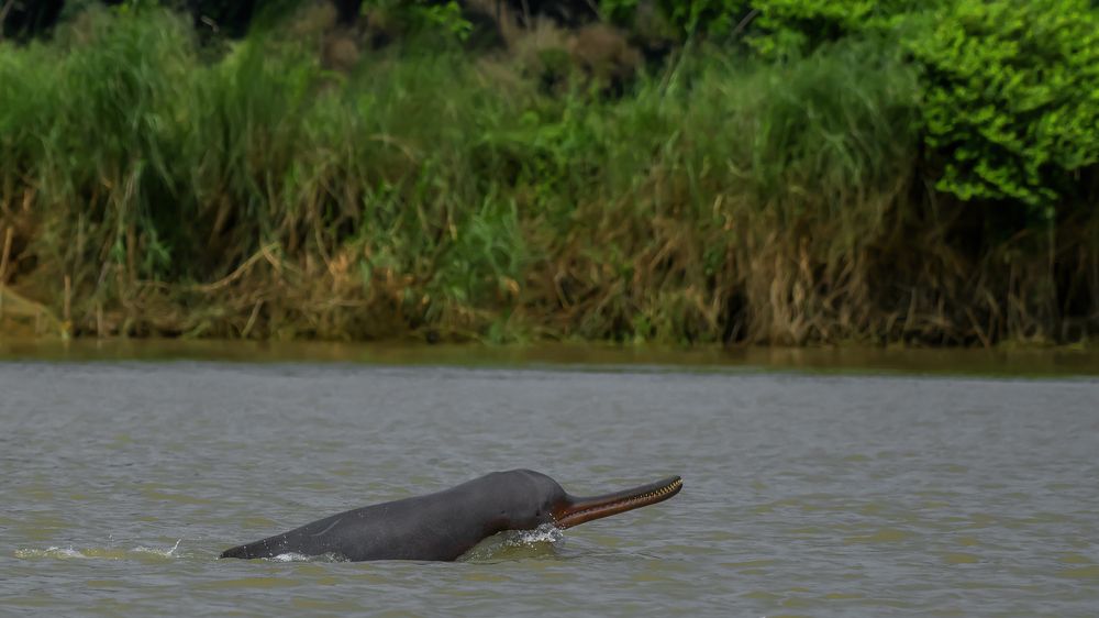 Photograph by Souvick Mukherjee