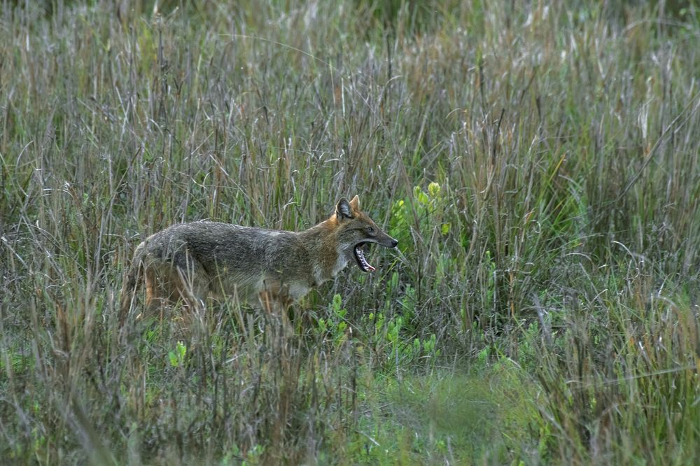 Photograph by Souvick Mukherjee