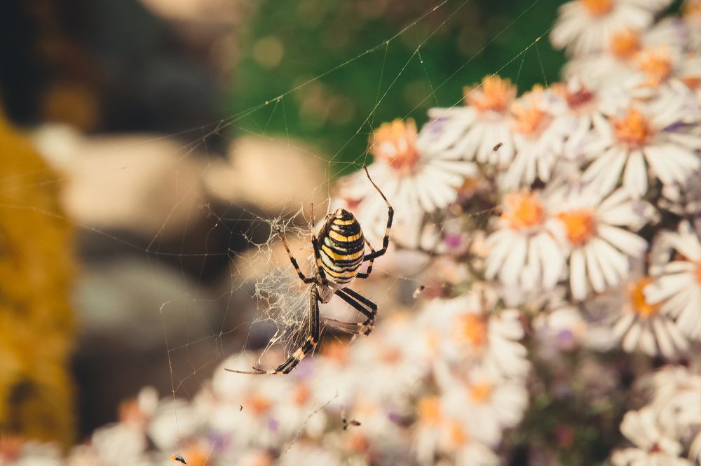 Photograph by Роман Рыбочкин