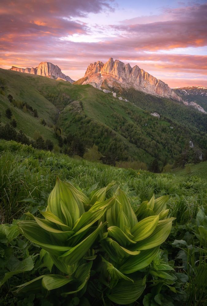 Photograph by Василий Яковлев