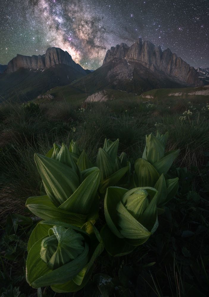 Photograph by Василий Яковлев