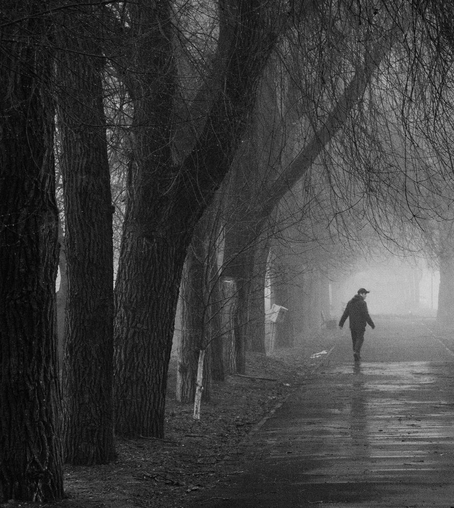 Photograph by Валерий Небренчин