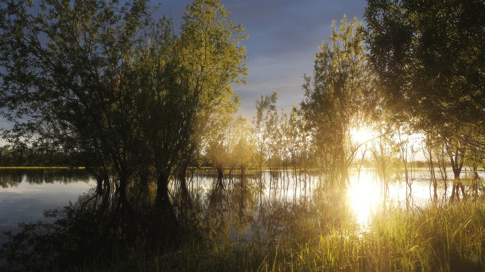 Photograph by Вадим Буцыкин