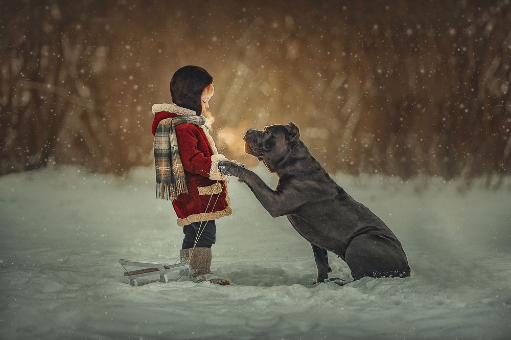 Photograph by Лысенкова Ксения