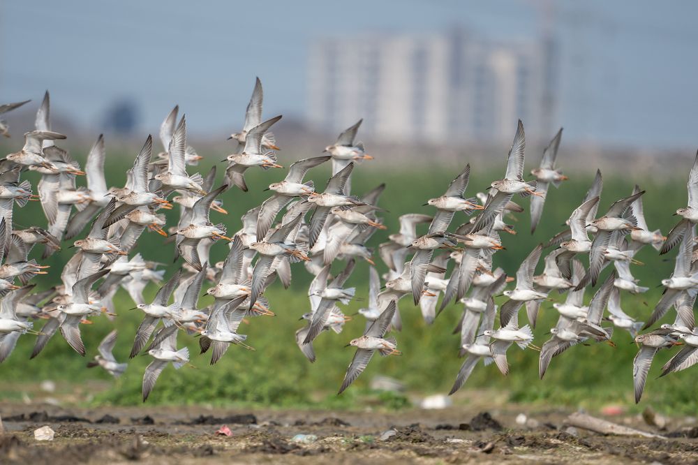 Photograph by Karthikeyan P