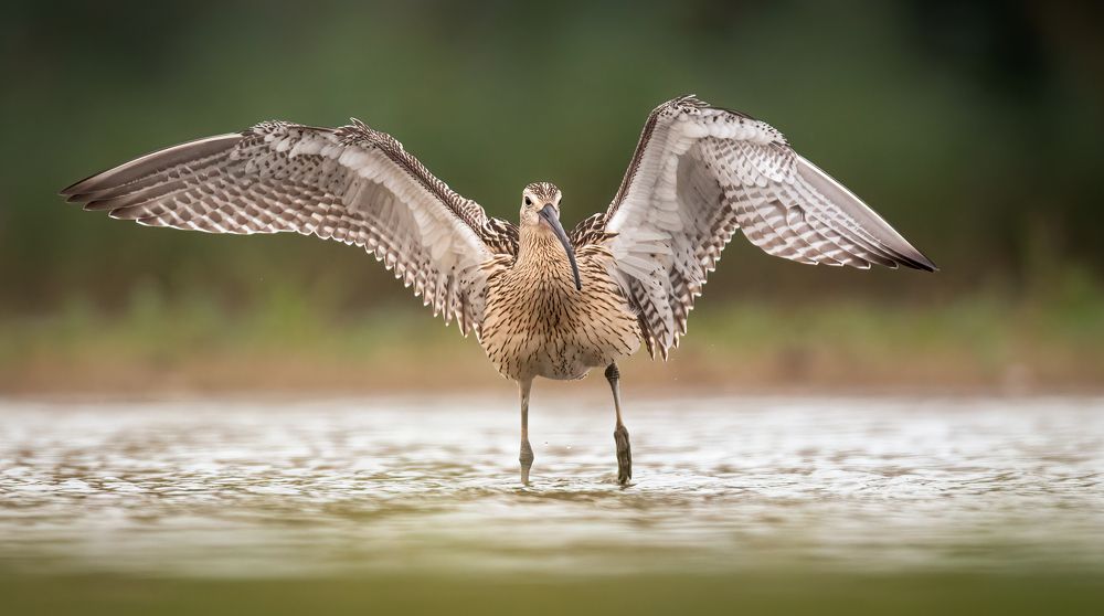 Photograph by Grzegorz Dąbrowski