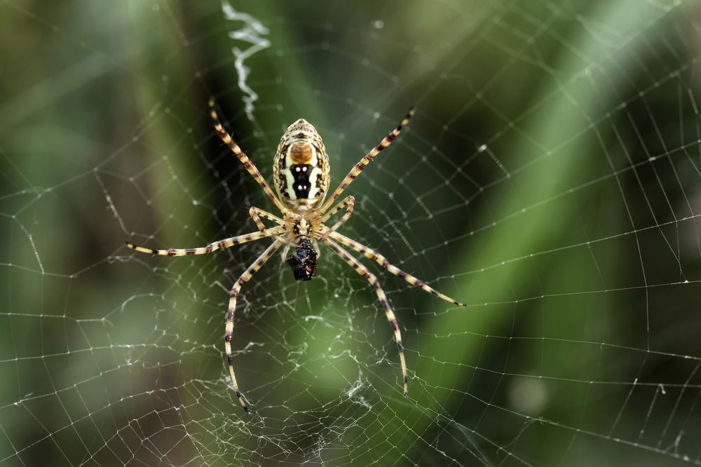 Photograph by farshid ashkar