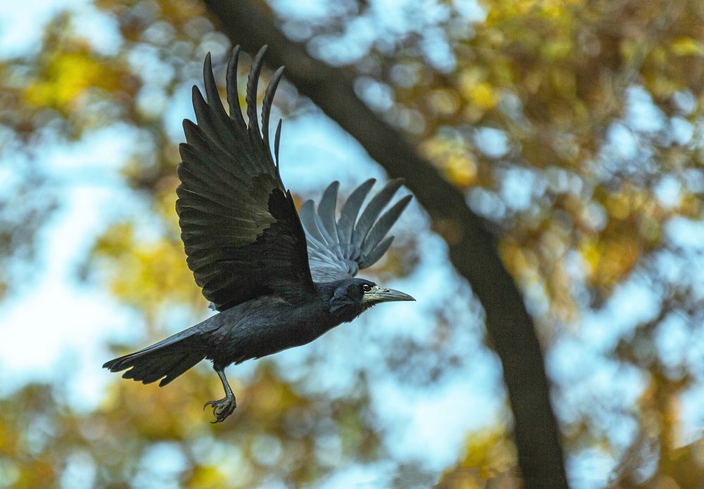 Photograph by Марат Рысбеков