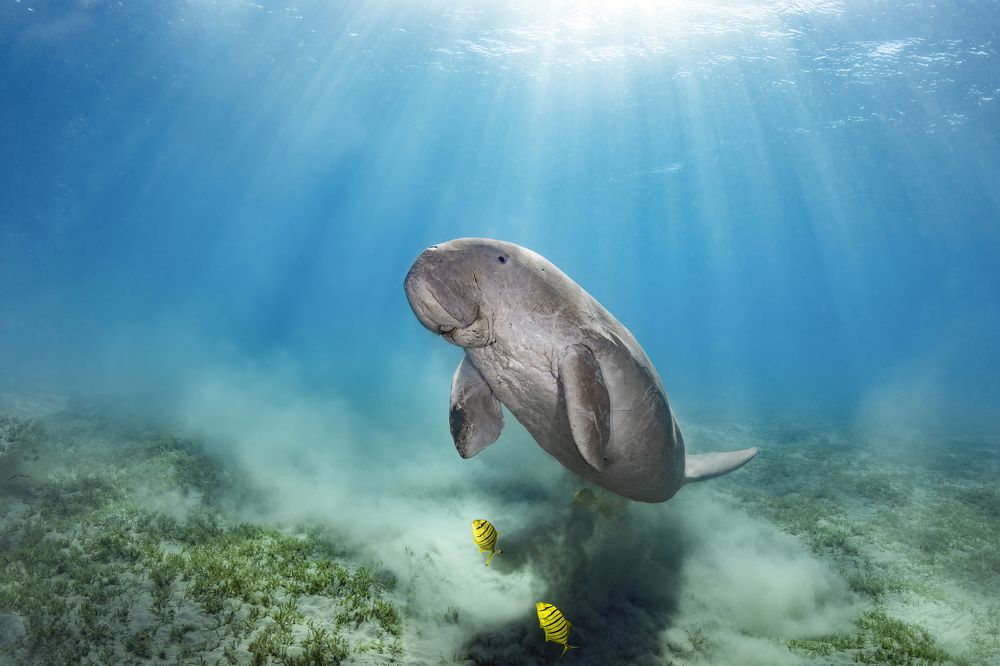 Photograph by Алексей Магай