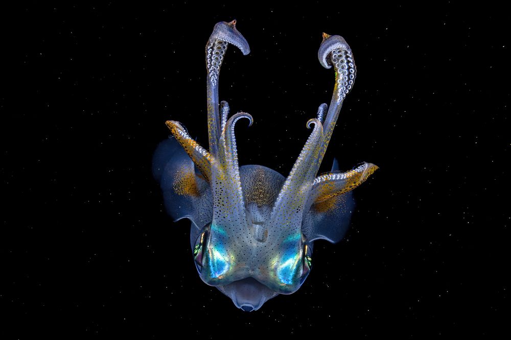 Photograph by Алексей Магай